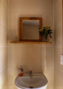a bathroom sink with a mirror and a plant at Complejo Playa Grande in Punta Del Diablo