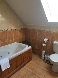 a bathroom with a bath tub and a toilet at Gort a Phump in Ballydavid