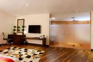 TV a/nebo společenská místnost v ubytování D Boutique Hotel