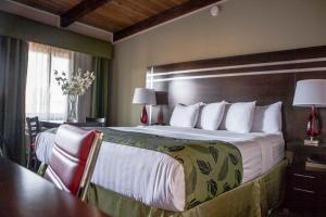 En eller flere senge i et værelse på Motel Capri
