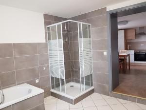 een badkamer met een douche en een glazen deur bij FeWo Königstein 2 in Thale