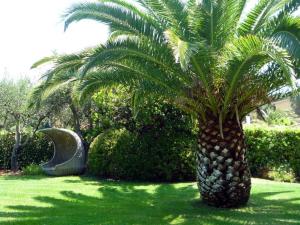 Giardino di Apt. Marilena by SolturElba