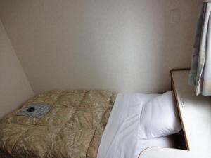 Postel nebo postele na pokoji v ubytování Matsue Plaza Hotel