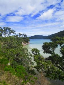 - une vue sur une étendue d'eau arborée dans l'établissement Mulberry Grove Retreat, à Tryphena