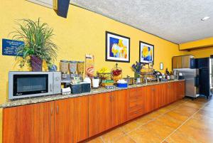 a kitchen with a microwave and a counter top at Microtel Inn & Suites by Wyndham New Braunfels I-35 in New Braunfels