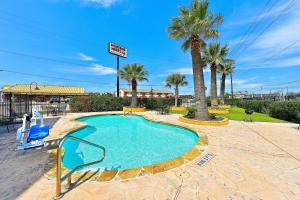 una pequeña piscina con sillas y palmeras en Microtel Inn & Suites by Wyndham New Braunfels I-35 en New Braunfels