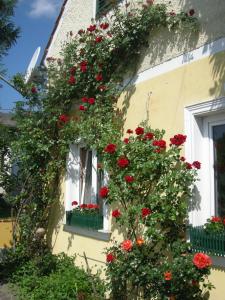 una casa con fiori rossi su un lato di Pension Arkadenhof a Premstätten