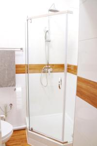 a shower with a glass door in a bathroom at Grey Rooms in Wrocław