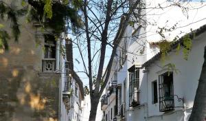 Fotografia z galérie ubytovania Lola5 v destinácii Córdoba