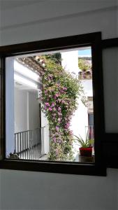 Fotografia z galérie ubytovania Lola5 v destinácii Córdoba