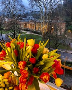 Ein Garten an der Unterkunft Reichel-Appartements
