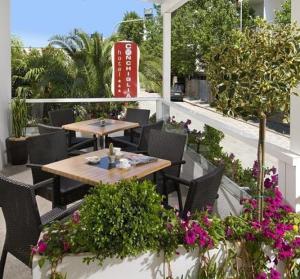 Zahrada ubytování Hotel Conchiglia