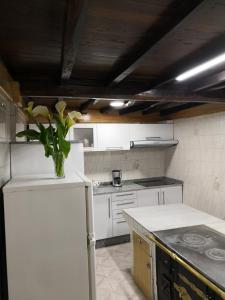 a kitchen with white appliances and a vase of flowers on the refrigerator at Casa Carlán in Melide