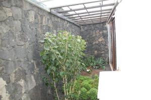 Fotografie z fotogalerie ubytování Villa Jupe v destinaci Tías