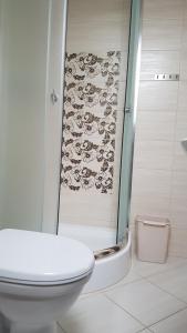 a bathroom with a toilet and a glass shower at Apartamenty Bursztynowe in Dębki
