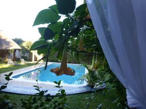 Bassein majutusasutuses FIGTREE GUESTHOUSE või selle lähedal