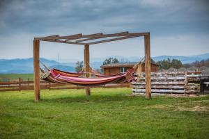 Afbeelding uit fotogalerij van Agroturystyka Nad Łąkami in Kłodzko