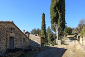 une maison en pierre sur un chemin de terre à côté d'un arbre dans l'établissement Fattoria la Speranza, Case Toscane, Casa Vaniglia, à Anghiari