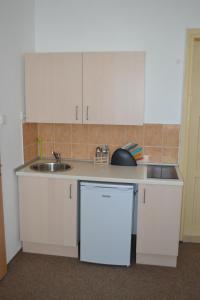 Kuchyň nebo kuchyňský kout v ubytování Hostel U Sv. Štěpána