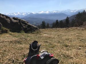 una persona tirada en la hierba en una montaña en Hostellerie de La Poste, en Oust