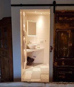 een badkamer met een wastafel en een spiegel bij Atelier B&B 'Sinnestriel' in Hindeloopen