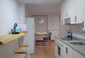 Cuisine ou kitchenette dans l'établissement Apartamento Estella-Lizarra