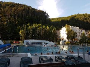 a large swimming pool with people in it at Garni Hotel Sonata in Martinske Hole