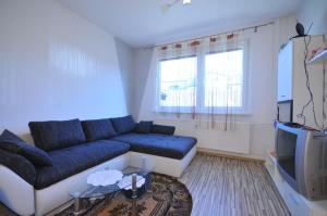 a living room with a couch and a tv at Apartmán Tatry-Nová Lesná in Nová Lesná