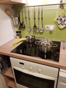 Kuchyňa alebo kuchynka v ubytovaní Apartman Zelengaj