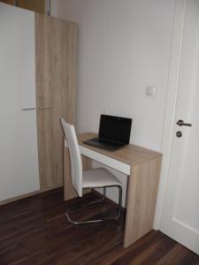 Televízia a/alebo spoločenská miestnosť v ubytovaní Apartman Zelengaj