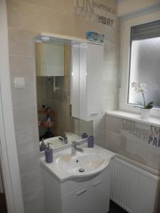 Kúpeľňa v ubytovaní Apartman Zelengaj