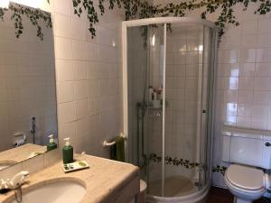 a bathroom with a shower with a sink and a toilet at Quinta Nova do Almeida in Alcobaça +30 photos