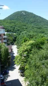 ジェレスノヴォツクにあるApartment on Lenina 8の木々と建物のある丘の景色