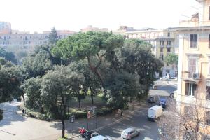 un gran árbol en una calle en una ciudad en Home 57 Relais en Roma