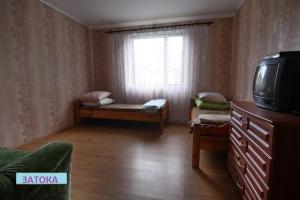 a living room with a tv and a couch and a window at Затока in Svityazʼ