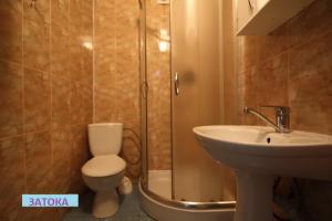 a bathroom with a shower and a toilet and a sink at Затока in Svityazʼ +5 photos