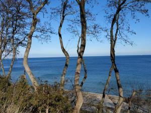 una vista del océano a través de los árboles en Gdynia ul.Chopina 11/25 Apartament nad morzem, en Gdynia