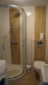 a bathroom with a shower with a toilet and a sink at Apartament Bajka in Rumia