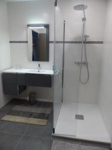 a bathroom with a sink and a shower with a mirror at La maison de Joëlle in Châteauvieux