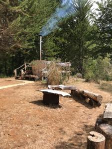 Foto de la galería de Los Encinos de Chancoyan en Valdivia