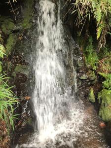 a waterfall in the middle of a forest at Los Encinos de Chancoyan in Valdivia