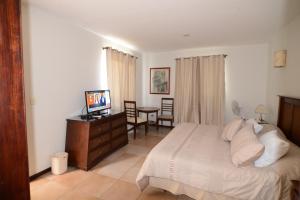 a bedroom with a bed and a desk with a television at Suites la Fe in Oaxaca City