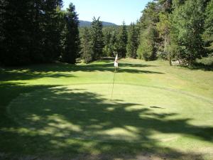 Golf v prázdninového domu nebo okolí