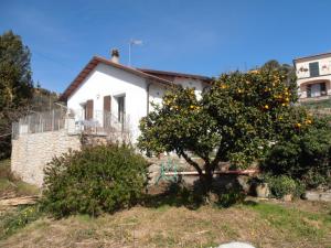 un oranger devant une maison blanche dans l'établissement Casa Fortuna, à Imperia