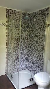 a bathroom with a shower and a toilet and a tub at Ferienhaus am Lübbesee in Milmersdorf