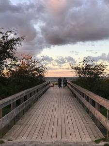 Příroda nedaleko apartmánu + 11 fotografií