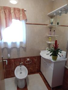 a bathroom with a toilet and a sink and a window at MARILENA in Fažana