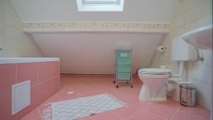 Gallery image of Coroni Residence in Braşov +24 photos