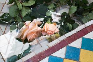 Fotografie z fotogalerie ubytování Riad Assala v Marrákéši