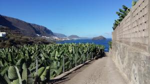 Galeriebild der Unterkunft Estudio Los Molinos in La Laguna